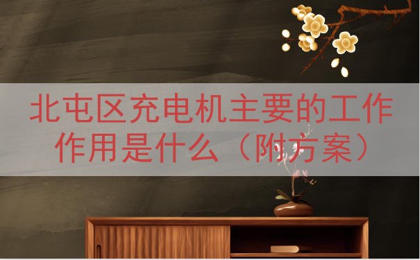 北屯区充电机主要的工作作用是什么（附方案）
